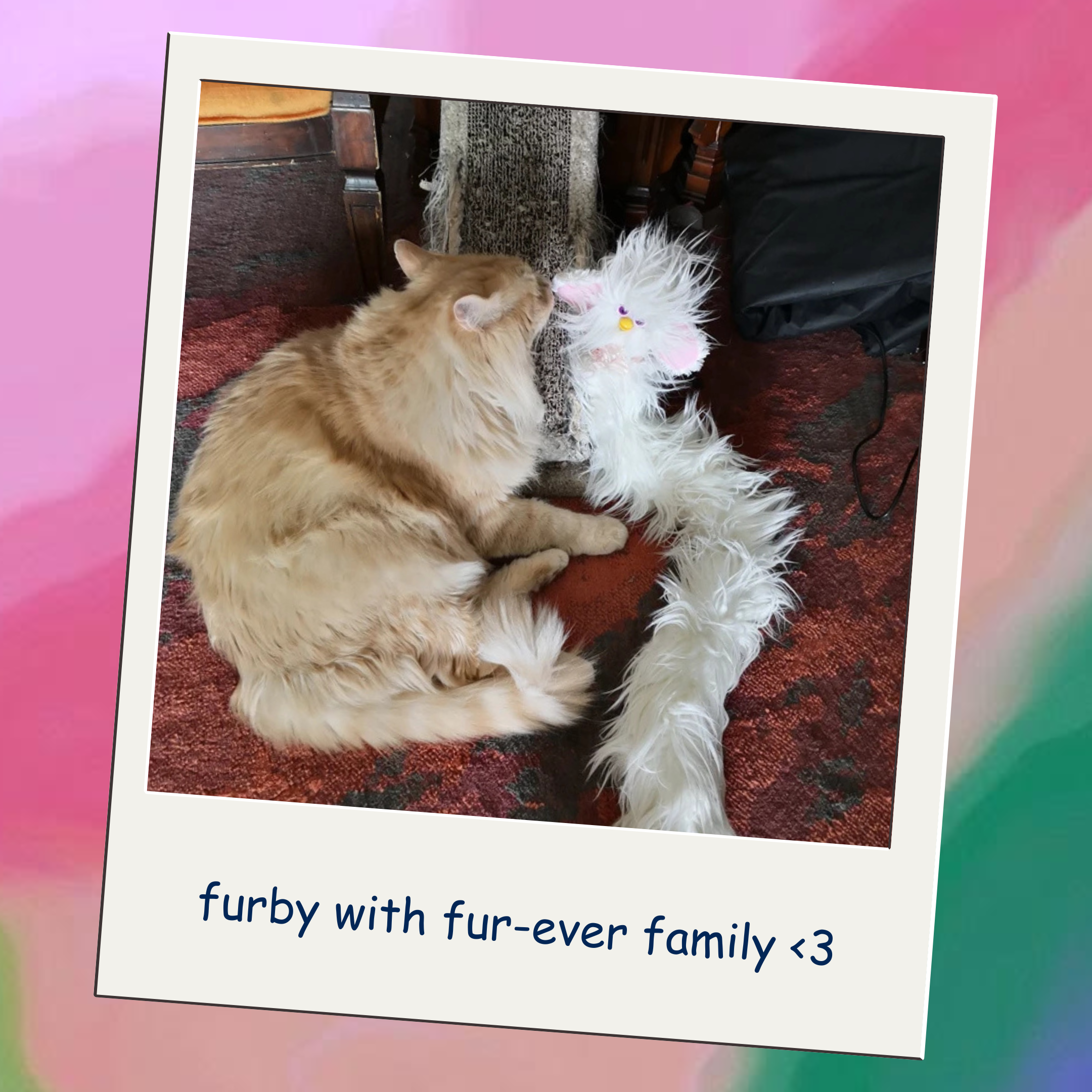 long furby oddbody with their new cat sibling